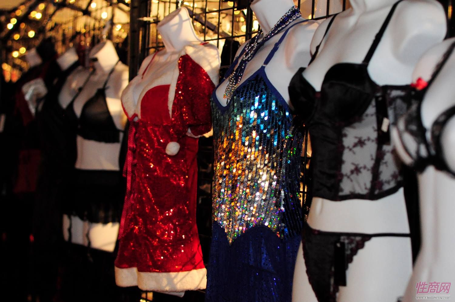 2015加拿大成人展(卡尔加里)精彩集锦图片4