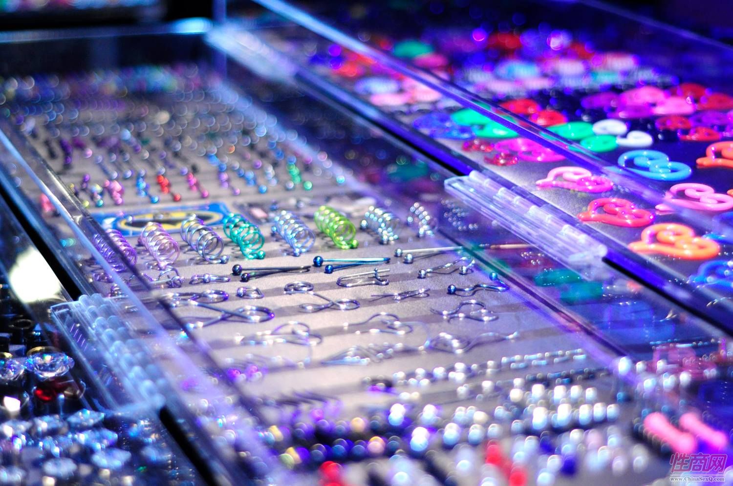 2015加拿大成人展(卡尔加里)精彩集锦图片6