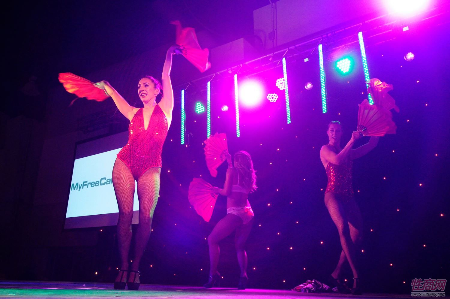 2015加拿大成人展(卡尔加里)精彩集锦图片11