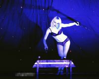 2013���ô����չ������ɣ�Tabooshow����ͼƬ20