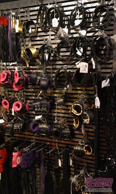 2017年拉脱维亚成人展 Erots--参展企业图片17