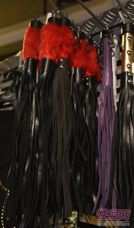 2017年拉脱维亚成人展 Erots--参展企业图片18