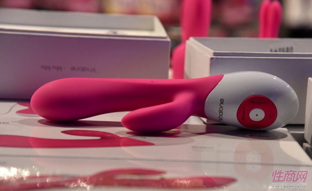 2017年拉脱维亚成人展 Erots--参展企业图片19