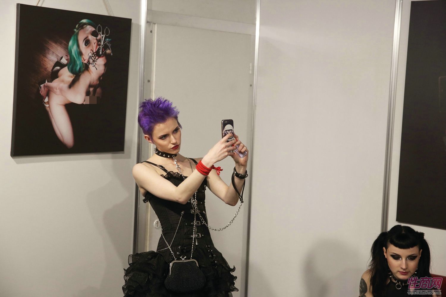 2017年拉脱维亚成人展 Erots--参展企业图片24