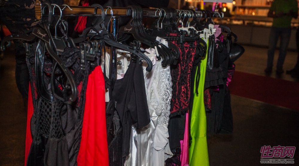 2017年拉脱维亚成人展 Erots--参展企业图片26