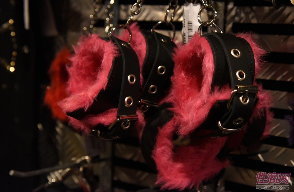 2017年拉脱维亚成人展 Erots--参展企业图片31