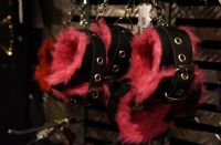 2017������ά�ǳ���չ Erots--��չ��ҵͼƬ31