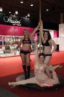 IntimiExpo��ս���ư�������չErotikaFairͼƬ22