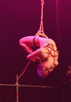 2017������ά�ǳ���չ Erots����SM����ͼƬ27