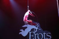 2017������ά�ǳ���չ Erots--��̨����ͼƬ20