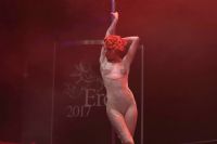 2017������ά�ǳ���չ Erots--��̨����ͼƬ19