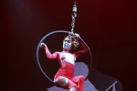 2017������ά�ǳ���չ Erots--��̨����ͼƬ23