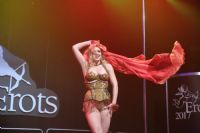 2017������ά�ǳ���չ Erots--��̨����ͼƬ27