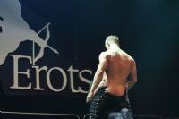 2017������ά�ǳ���չ Erots--��̨����ͼƬ29