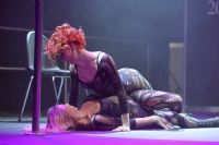 2017������ά�ǳ���չ Erots--��̨����ͼƬ32