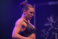 2017������ά�ǳ���չ Erots--˫����ͼƬ35