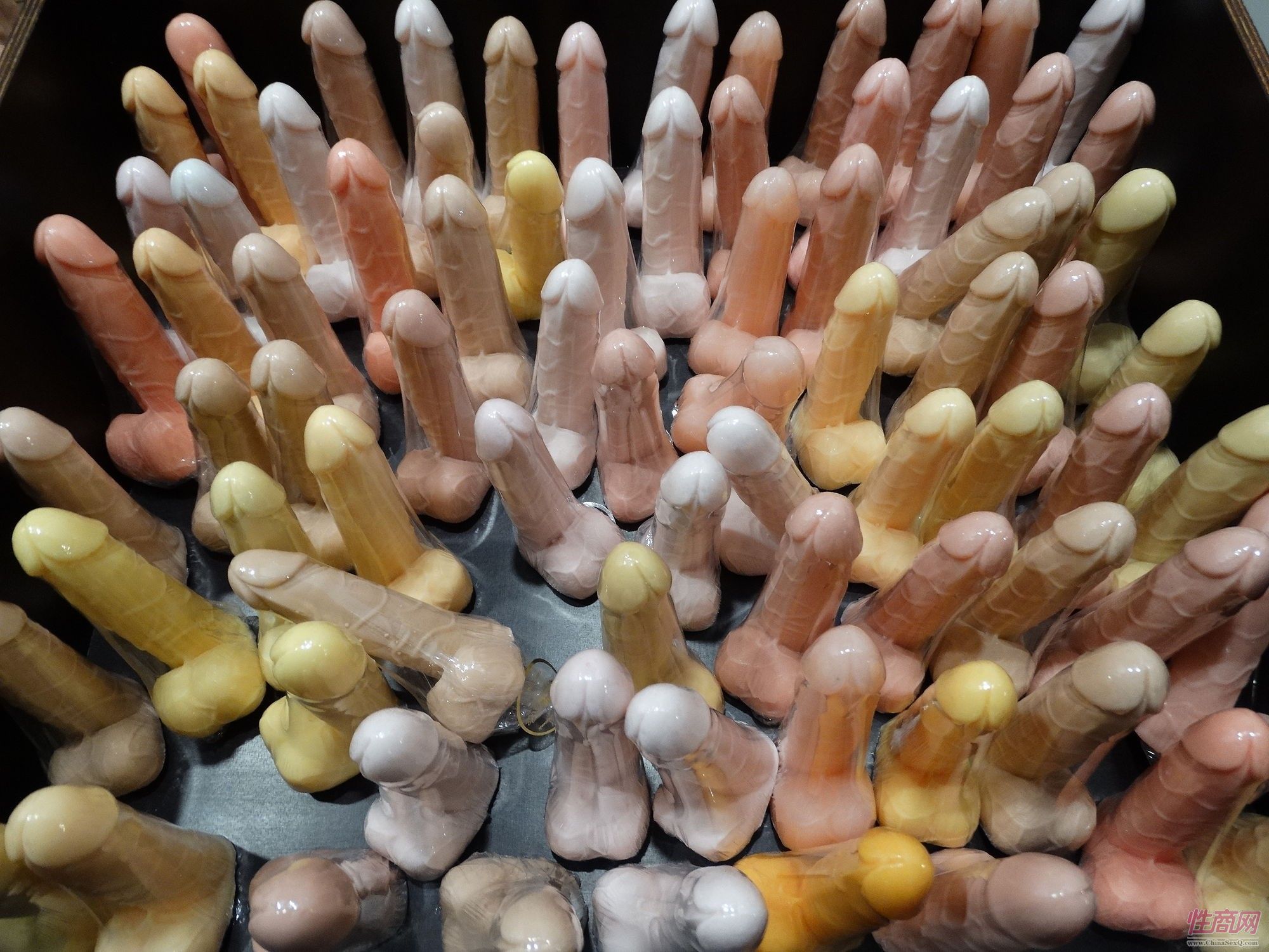 2017年拉脱维亚成人展 Erots--参展企业图片40