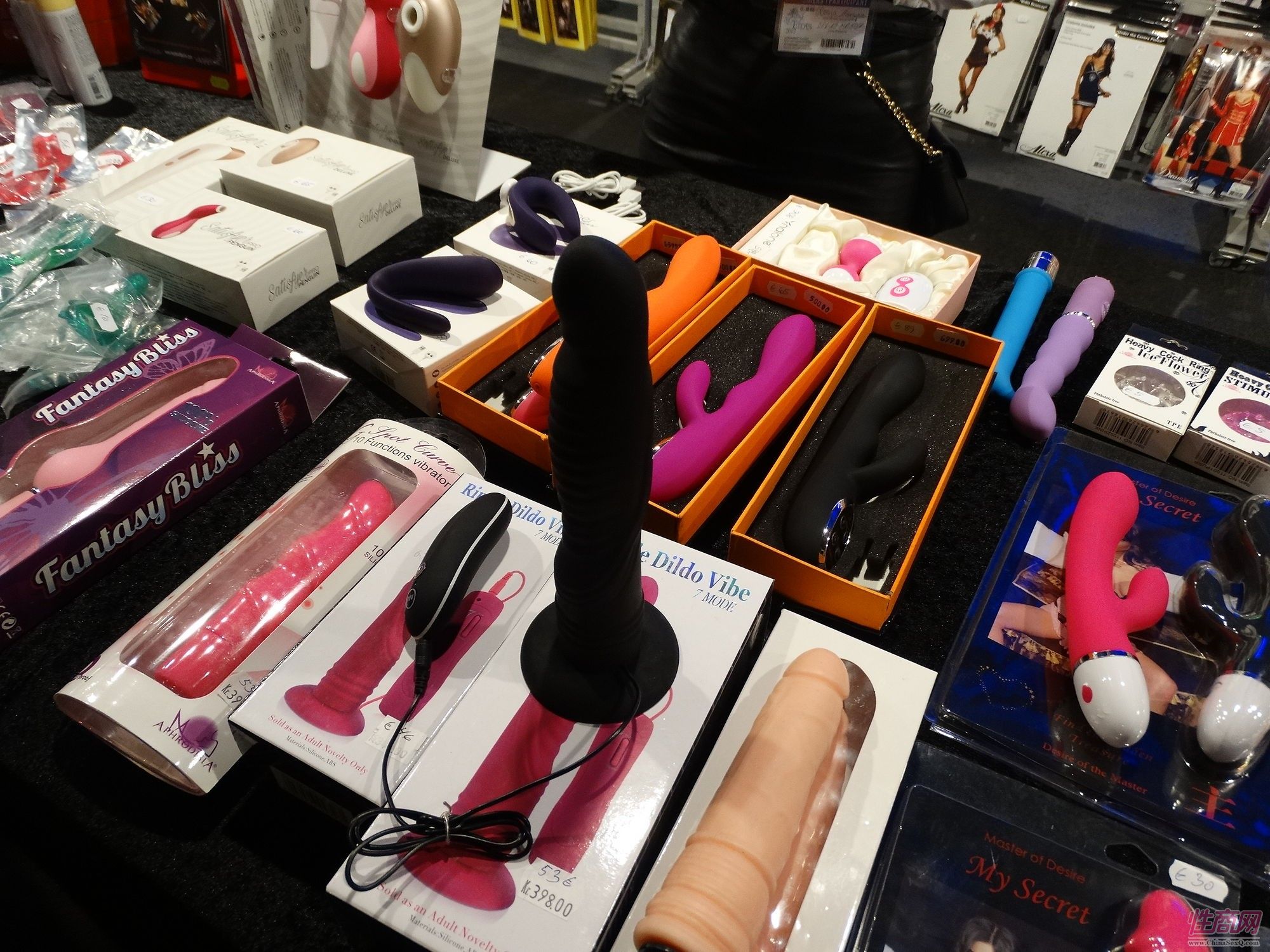 2017年拉脱维亚成人展 Erots--参展企业图片41