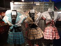 2017������ά�ǳ���չ Erots--��չ��ҵͼƬ45