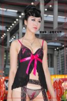 2009�������������Ļ����Ը���Ȥ������