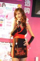 2009�������������Ļ��ڼ����ҵó�����Խ����ռ�ͼƬ28