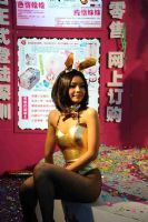 2009�������������Ļ��ڼ����ҵó�����Խ����ռ�ͼƬ39