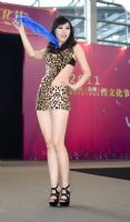 2011深圳性文化节联合亚洲成人博览海外品牌多