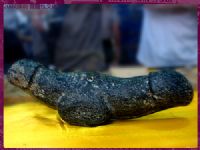 ����������Ů����2007�׽��������Ļ���ͼƬ38