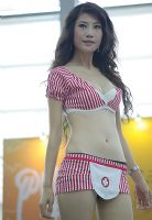 2008�������Ļ��ڿ�Ļ���������������ͼƬ20