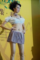 2008�������Ļ��ڿ�Ļ���������������ͼƬ30