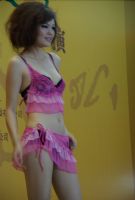 2008�������Ļ��ڿ�Ļ���������������ͼƬ36