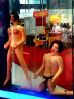 2008�������Ļ��ڿ�Ļ���������������ͼƬ47