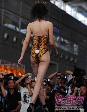 深圳静态内衣秀_深圳内衣展静态内衣秀(3)