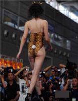 2008�������Ļ��ڿ�Ļ���������������ͼƬ53