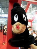 2008�������Ļ��ڿ�Ļ���������������ͼƬ50