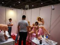 2017���޳��˲���AAE(���)ʢ��Ļ��ͼƬ19