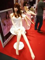 2017���޳��˲���AAE(���) չ���ֳ�ͼƬ23