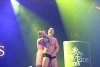 2016����ά�ǳ���չ����̨���ݾ��ʷ׳�ͼƬ18