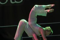 2016����ά�ǳ���չ����̨���ݾ��ʷ׳�ͼƬ24