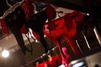 2016����ά�ǳ���չ�ڶ��Ʒ����չ��ͼƬ25