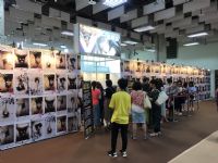 2017������̨����˲�����Ů����ģ�Ƽ�ͼƬ28