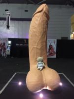 2017�Ĵ����ǲ���˹�����չ�ֳ����ʼ���ͼƬ47