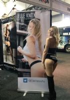 2017�Ĵ����ǲ���˹�����չ�ֳ����ʼ���ͼƬ69