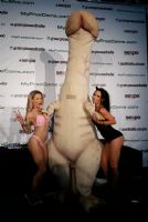 2017�Ĵ����ǲ���˹�����չ�ֳ����ʼ���ͼƬ76