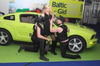 2013����ά�ǳ���չ�ٰ�ೡ�Ը��������ͼƬ24