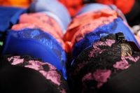 2014����ά�ǳ���չ���ۡ����ǹ���Ƥ�ɰ�ͼƬ27