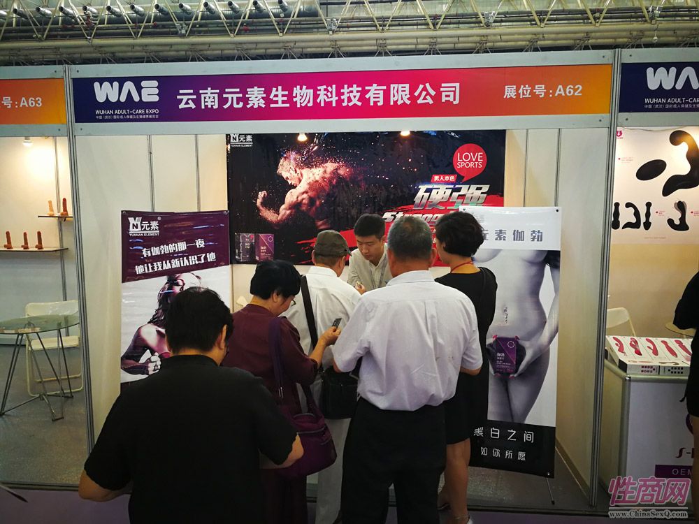 2017中国(武汉)成人展开幕式及展会现场图片8