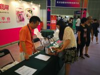 2017�й�(�人)����չ��Ļʽ��չ���ֳ�ͼƬ26