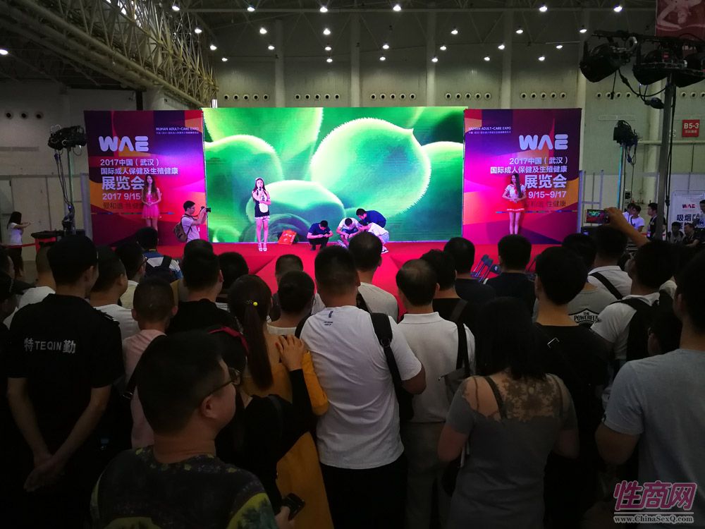 2017中国(武汉)成人展开幕式及展会现场图片31