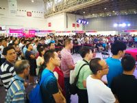 2017�й�(�人)����չ��Ļʽ��չ���ֳ�ͼƬ32